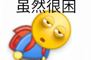 开云app免费下载截图4